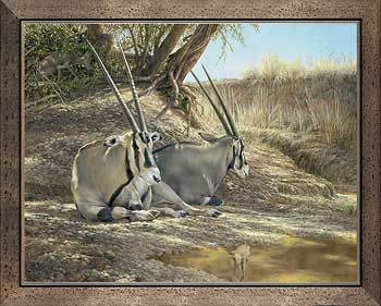 Ron Van Gilder Handsigned and Numbered Limited Edition: "Framed Heat of the Day-Gemsbok Canvas"