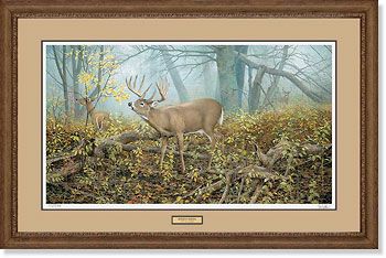 Ron Van Gilder Handsigned and Numbered Limited Edition: "Framed, Remarqued Monarch's Morning"