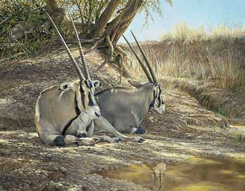 Ron Van Gilder Handsigned and Numbered Limited Edition: "Heat of the Day-Gemsbok Canvas"
