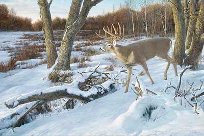 Ron Van Gilder Handsigned and Numbered Limited Edition:"Last Light-Whitetail Deer"