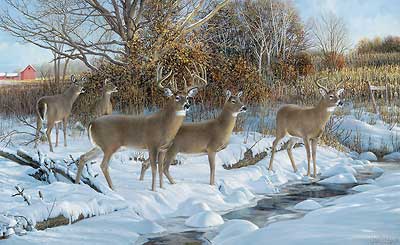 Ron Van Gilder Handsigned and Numbered Limited Edition Print: "Early Snow-Whitetail Deer"