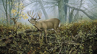 Ron Van Gilder Limited Edition Print:"Monarch's Morning-Deer"