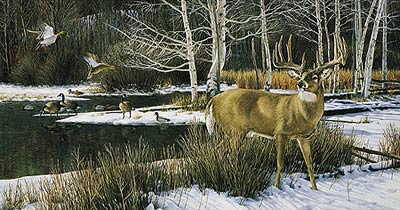 Ron Van Gilder Limited Edition Print:"The Haven-Whitetail Deer"