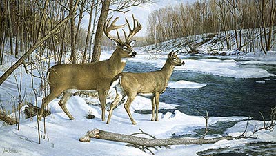 Ron Van Gilder Limited Edition Print:"The Jordan Buck"