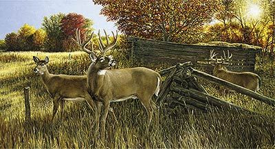 Ron Van Gilder Limited Edition Print:"The Waiting Game-Deer"