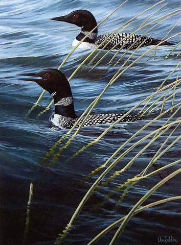 Ron Van Gilder Print-Signed and Numbered:"Heritage- Loons"