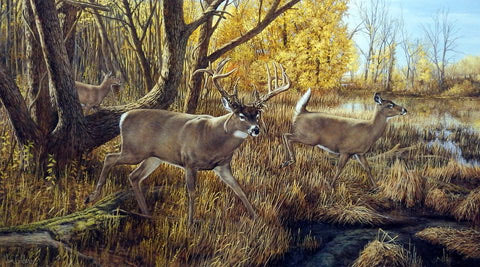 Ron Van Gilder Print-Signed and Numbered:"Old Mossy Horns"