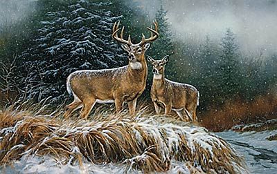 ROSEMARY MILLETTE 17X25 Secondary Market Art: "IN THE STORM WHTTL"