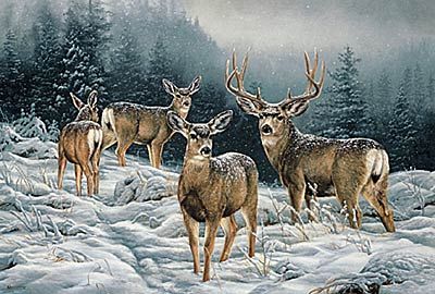 ROSEMARY MILLETTE 18X26 Secondary Market Art: "BROKEN SILENCE MULEDEE"