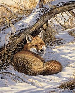 ROSEMARY MILLETTE 23X18 Secondary Market Art: "RESTFUL MOMENT RED FOX"