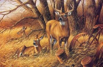 ROSEMARY MILLETTE 25X17 Secondary Market Art: "RUSTIC RETREAT DEER"