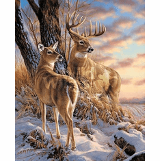 Rosemary Millette Break in the Storm