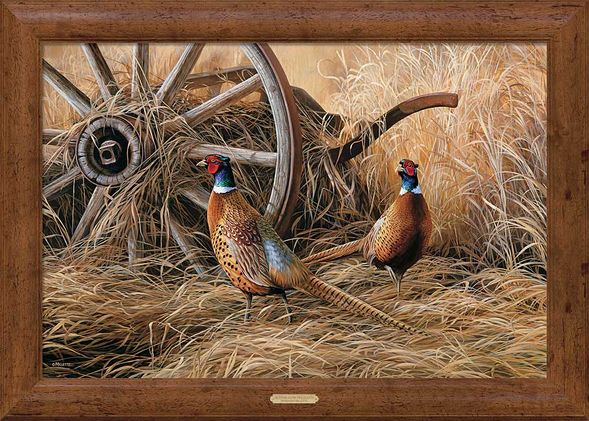 Rosemary Millette Framed Gallery Canvas: "Autumn Glow-Pheasant"