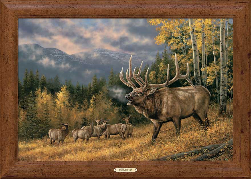 Rosemary Millette Framed Gallery Canvas: "Autumn Song-Elk"