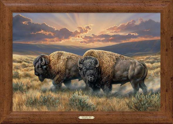 Rosemary Millette Framed Gallery Canvas: "Dusty Plains Bison - Rustic Pine"