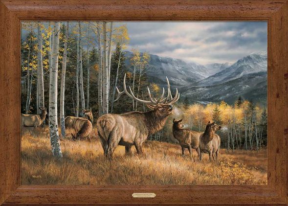 Rosemary Millette Framed Gallery Canvas: "Meadow Music-Elk"