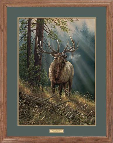 Rosemary Millette Framed Open Edition Print: "Calling All Challengers-Elk"