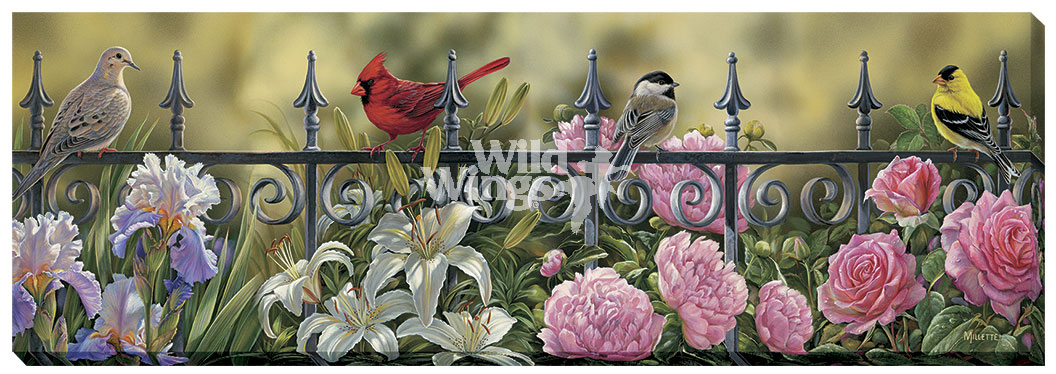 Rosemary Millette Gallery Wrapped Canvas Giclee:"Backyard Beauties - Songbirds"