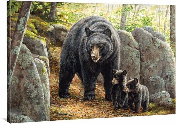 Rosemary Millette 24x36 Gallery Wrapped Canvas Giclee:"Northwoods Springtime - Black Bears "