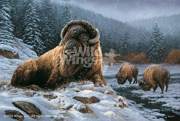 Rosemary Millette Ltd Ed Signed Artist Proof Print:"Spirit of the Wild"