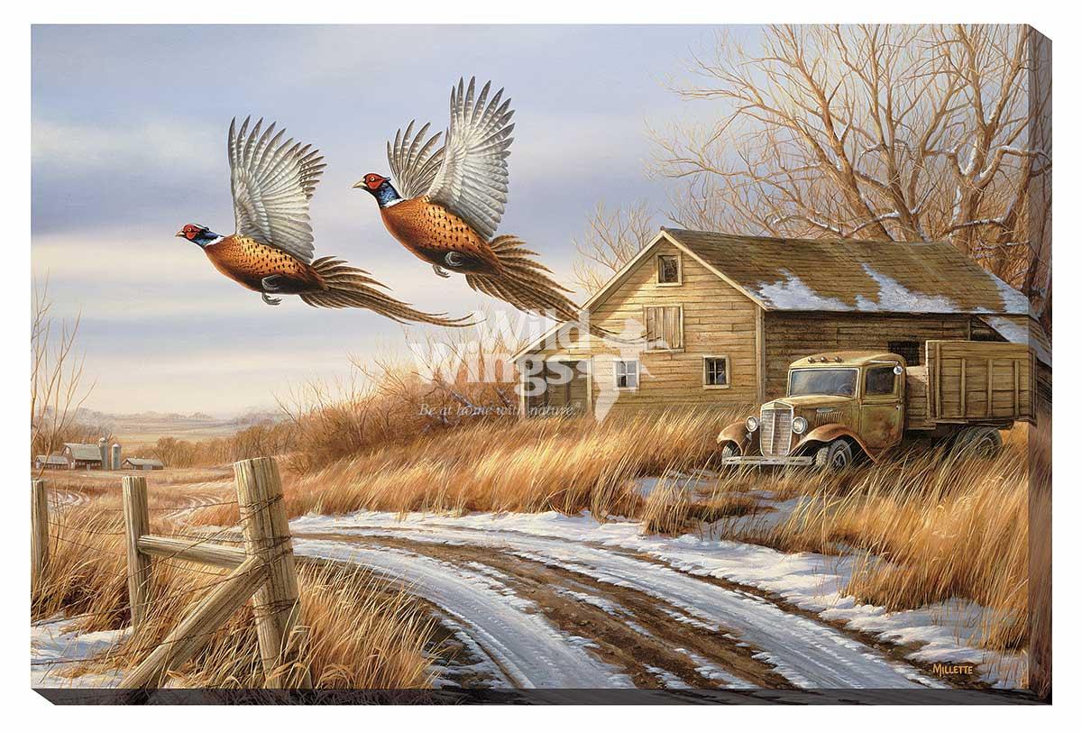Rosemary Millette 24x36 Gallery Wrapped Canvas Giclee:"Weathered Memories - Pheasants"