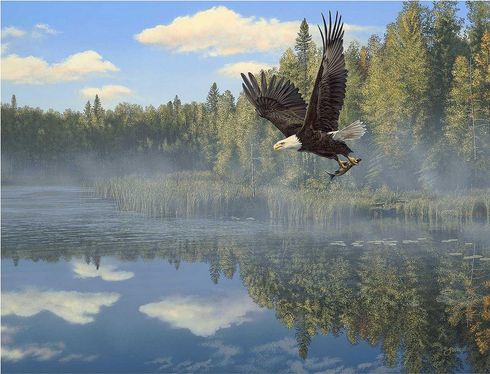 Scot Storm Artist Signed and Numbered Limited Edition Print:"Union Mist"