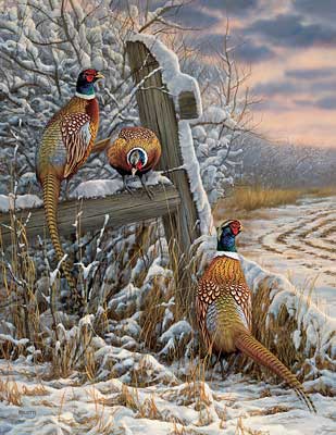 Rosemary Millette Hand-signed and Numbered Limited Edition Artist Proof Print: "Forgotten Fenceline-Pheasants" Rosemary Millette Hand-signed and Numbered Limited Edition Artist Proof Print: "Forgotten Fenceline-Pheasants"