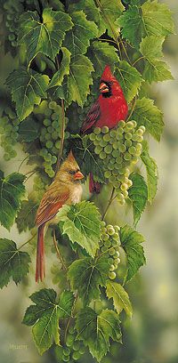 Rosemary Millette Hand Signed and Numbered Limited Edition Artist Proof Print: "Vineyard - Cardinals"