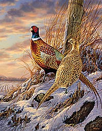 Rosemary Millette Hand Signed and Numbered Limited Edition Canvas Giclee:" Twilight Escapade-Pheasant"