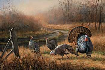 Rosemary Millette Artist Proof Limited Edition Print: "Backwoods Rendezvous-Turkeys" | Out of Stock