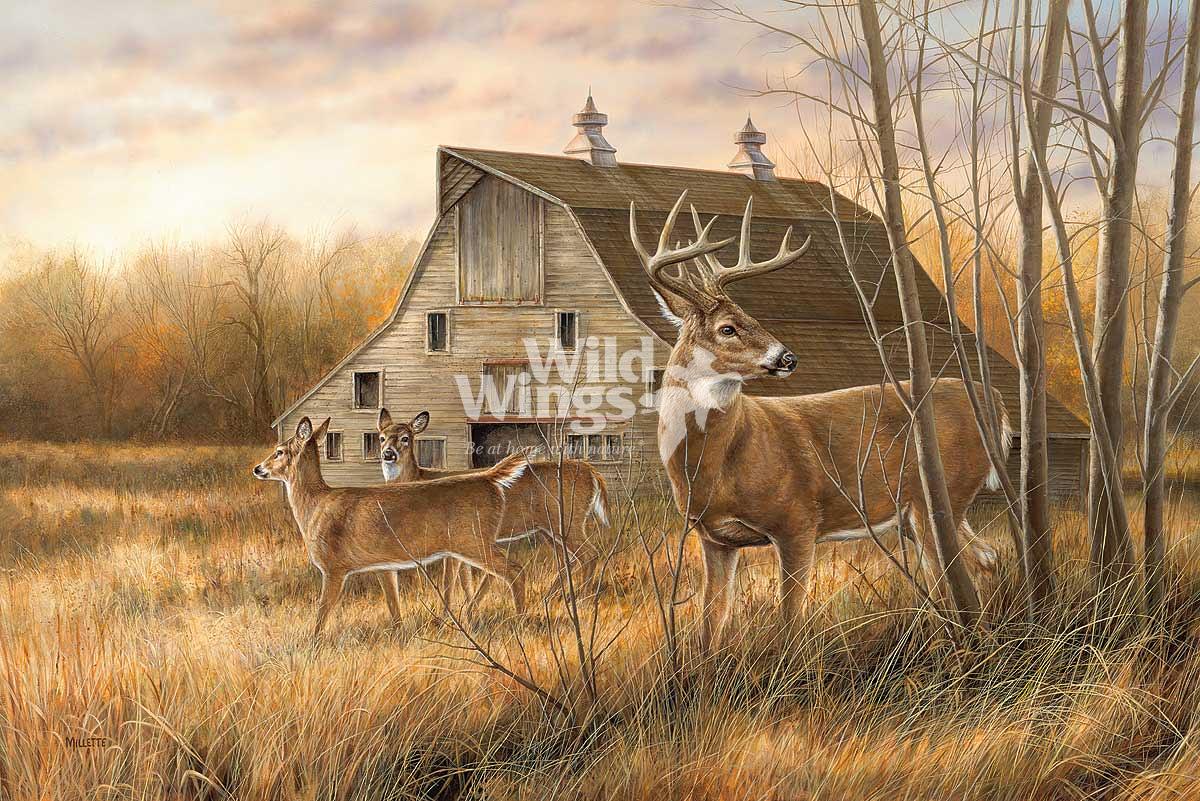 Rosemary Millette Hand Signed and Numbered Limited Edition Print: "Deserted Farmstead - Whitetail Deer "