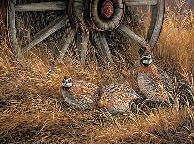 Rosemary Millette Hand Signed Limited Edition Artist Proof Print:"Wagonwheel-Bobwhites Quail"