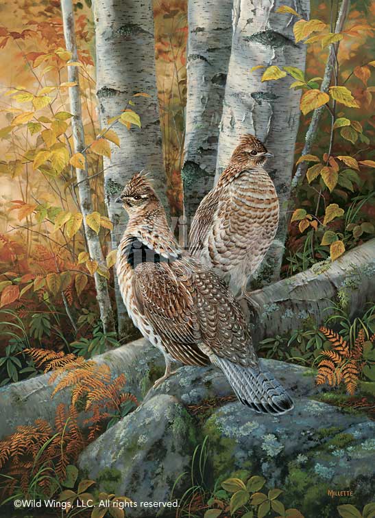 Rosemary Millette Artist Signed Limited Edition Print:"Late Season Solitude - Ruffed Grouse"