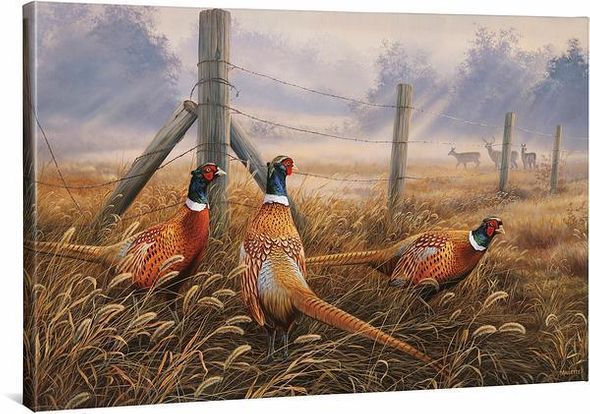 Rosemary Millette 24X36 Gallery Wrapped Canvas:"Meadow Mist—Pheasants"
