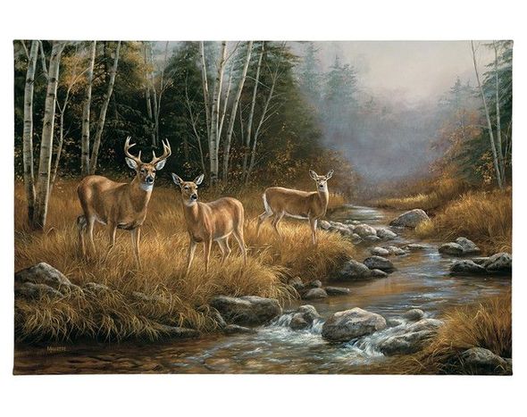 Rosemary Millette 24x36 Gallery Wrapped Canvas:"October Mist-Whitetail Deer "