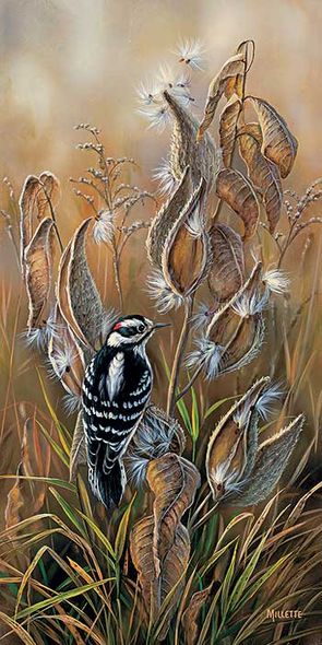 Rosemary Millette Handsigned & Numbered Limited Edition Print:"Downy Woodpecker"