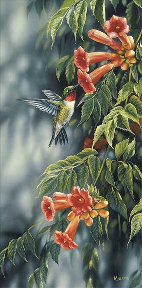Rosemary Millette Handsigned & Numbered Limited Edition Print:"Summer-Ruby Hummingbird"