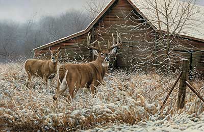 Rosemary Millette Limited Edition Artist Proof:"Chance Encounter "