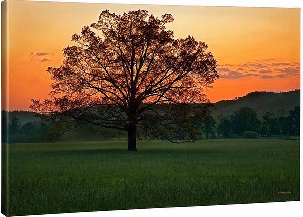 Judy Syring Gallery Wrap 24x36 Canvas:"Twilight Delight"