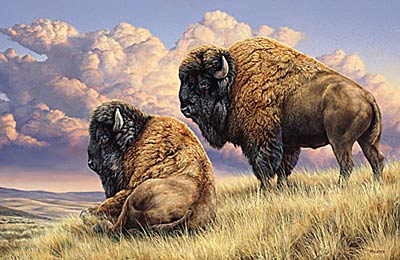 Rosemary Millette Limited Edition Artist Proof Print:" Prairie Monarchs-Bison "