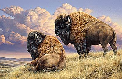 Rosemary Millette Limited Edition Artist Proof Print:" Prairie Monarchs-Bison "
