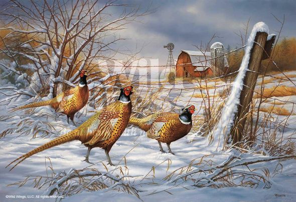 Rosemary Millette Limited Edition Artist Proof Print:"After the Storm—Pheasant"
