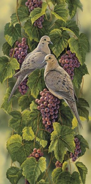 Rosemary Millette Limited Edition Print: " Vineyard-Mourning Doves"