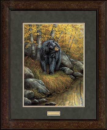 Rosemary Millette Open Edition Framed Print: "Shades of Autumn-Black Bear"