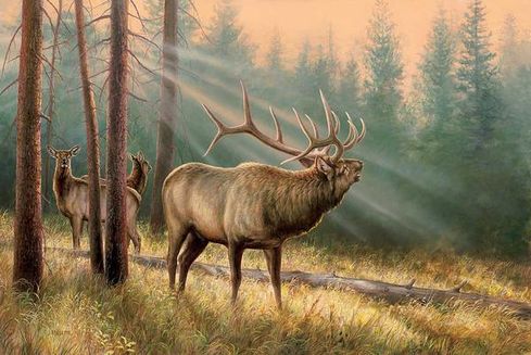 Rosemary Millette Original Acrylic Painting: "Answering the Call-Elk"