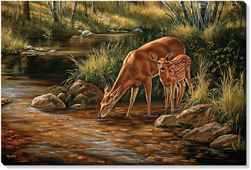Rosemary Millette Oversize Open Edition Gallery Wrapped Canvas Giclee: "Summer Shadows - Whitetail Doe & Fawn"