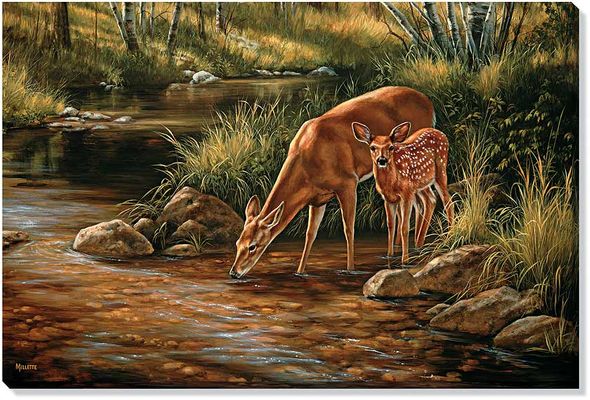 Rosemary Millette Oversize Open Edition Gallery Wrapped Canvas Giclee: "Summer Shadows - Whitetail Doe & Fawn"
