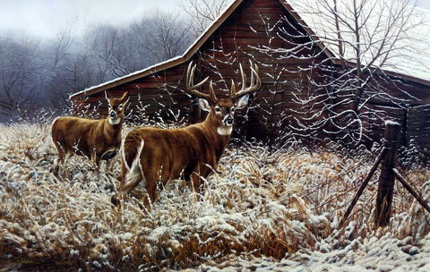 Rosemary Millette Print-Signed and Numbered:"Chance Encounter"