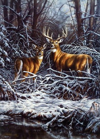 Rosemary Millette Print-Signed and Numbered:"Woodland Monarch- Whitetail Deer"