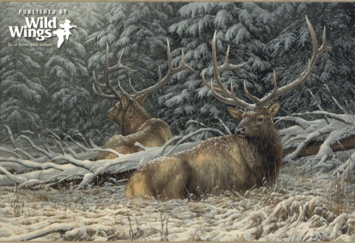 Rosemary Millette Signed and Numbered Limited Edition Artist Proof Print: "Sheltered Elk"